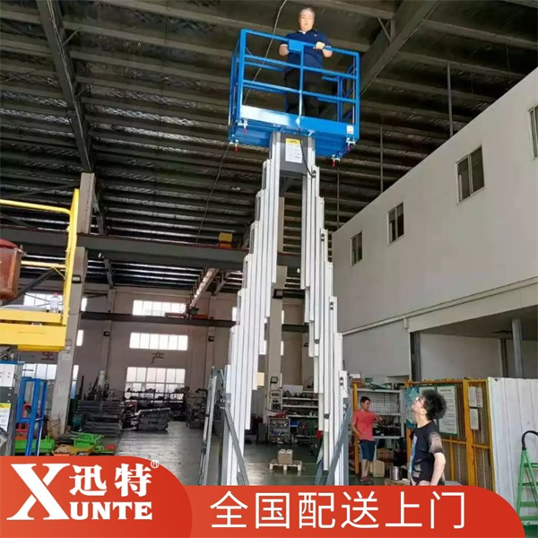 雙柱式鋁合金升降機定做