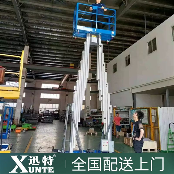 雙柱鋁合金升降機價格