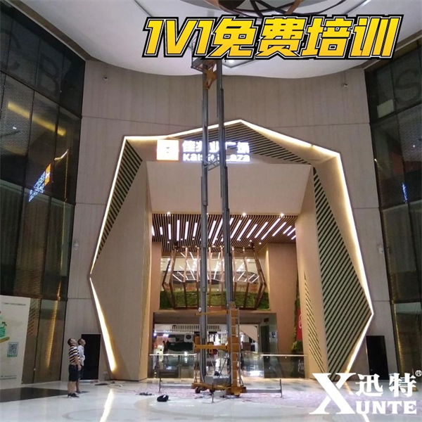 雙柱鋁合金升降機(jī)批發(fā)